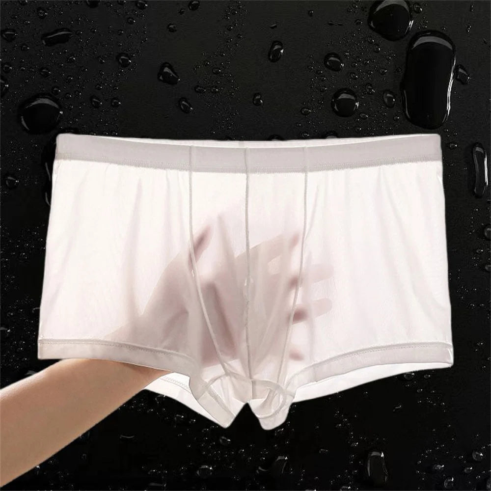 Sexy Boxershorts für Männer, transparent, nahtlos, aus Eisseide, ultradünn, Nylon-Unterwäsche für schwule Männer, Übergröße